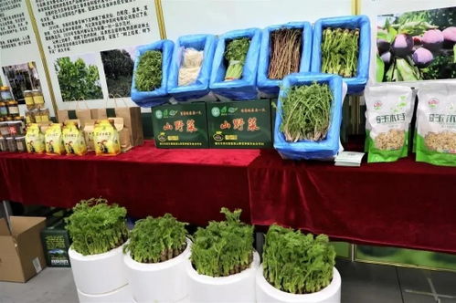 吉林有約 全民做冬丨探冬捕風情，逛年貨盛會，盡享農副土特產品